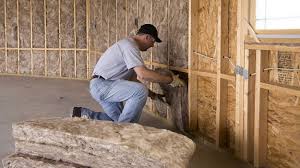 Best Blown-In Insulation  in Belle Mead, NJ